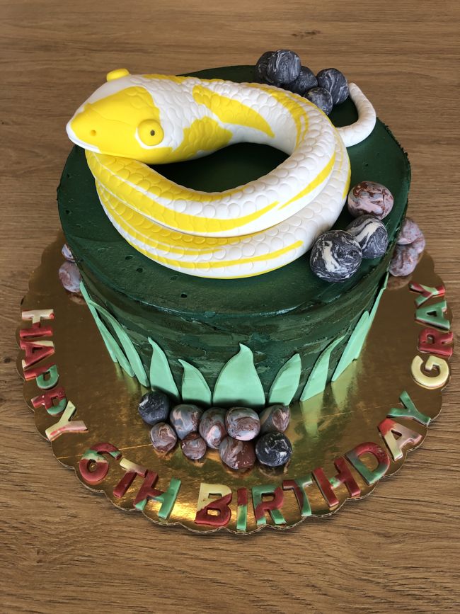 Snake birthday cake