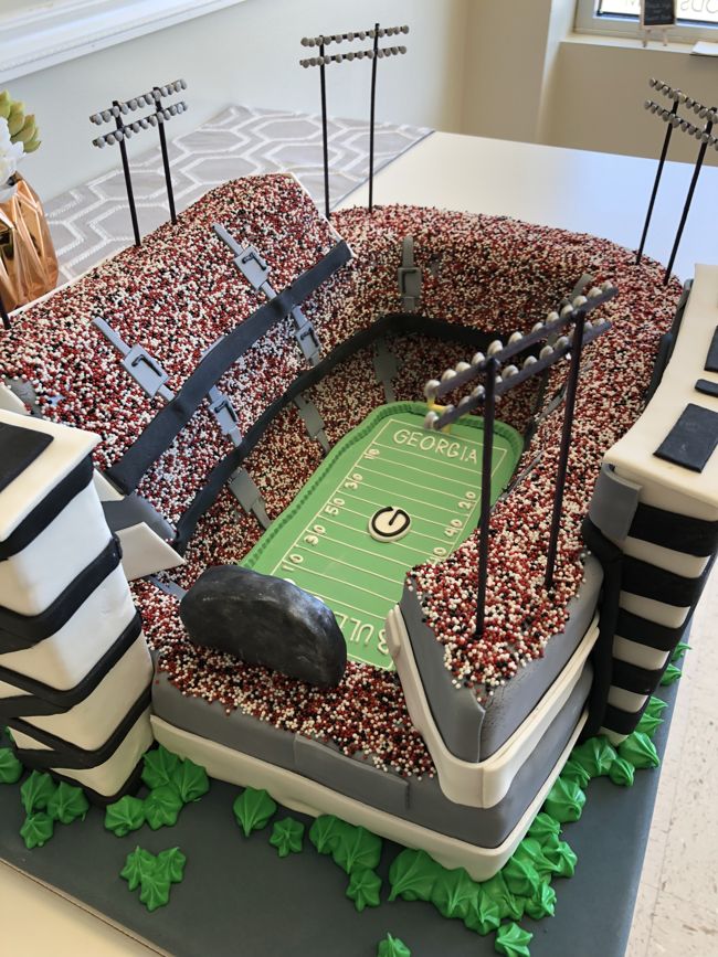University of Georgia Stadium Cake