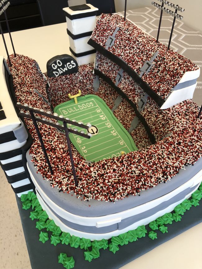 Georgia Bulldogs Stadium Cake - Go Dawgs!